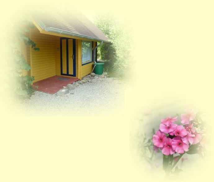 Ostseeurlaub mit Hund im Ferienhaus