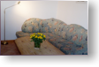 Unsre Ferienwohnung Scholle ein Einraum - Appartement