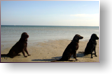 Ferien an der Ostsee