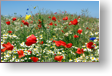 Ferien an der Ostsee