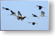 Ferien an der Ostsee