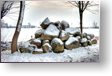 Ferien an der Ostsee - Winterimpressionen