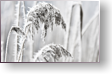 Ferien an der Ostsee - Winterimpressionen